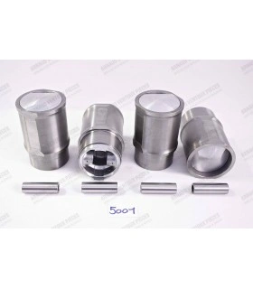 Set of liners and pistons Ø 76mm with pin and segment - R5 Alpine atmo (1223) - 1