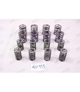 Set of 8 valve springs - 1