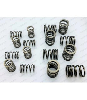 Set of 8 valve springs - 1