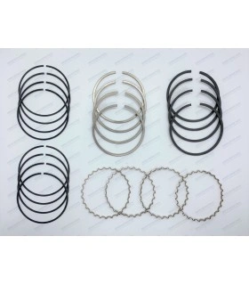 Set of 12 segments Ø70mm - 2Cx2x3.5 - 1