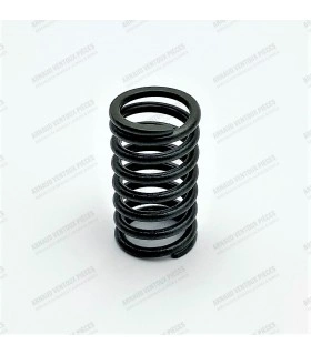 Valve spring (Ventoux 670-1 engine) - 1