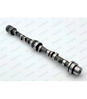 Road and rally camshaft (standard exchange) - 1