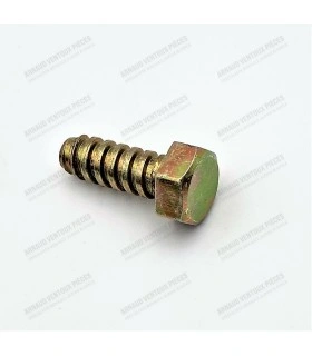 Body screws (for the fenders) - Ø6.3x17 (yellow zinc color) - Ref 0607273300 - 1