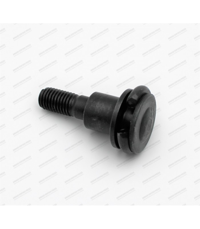 Brake piston adjustment screw for rear caliper (sold with its ring) - M9 - 2