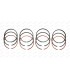 Set of 12 segments "Original side" Ø 76.7mm - 1.75x2x4 - R1 / R2 / R3 - 2