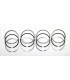 Set of 12 segments "Repair dimension" Ø 77.50mm - 1.75x2x4 - R1 / R2 / R3 - 2