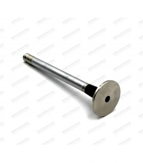 Exhaust valve - Ø29x8x107.5 (origin Ø) - 1