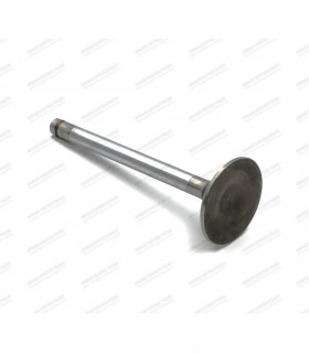 Intake valve - Ø36x8x107 (origin Ø) - 1