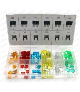 Assortment of fuses (Small and large) - 80 pieces - 1