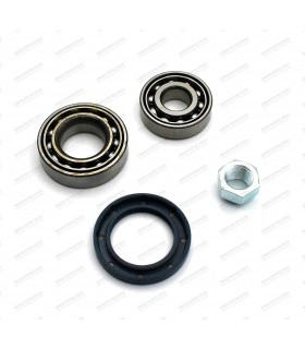 Kit of 2 Front spindle bearings with oil seal and nut - A110.1600 (VD/ SX) / A310.4 / A310.6 - 1