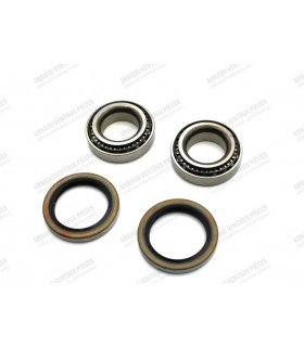 Rear wheel hub bearing kit - 1